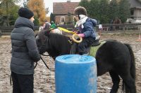Czytaj więcej: Rodzinne zawody Pony Games