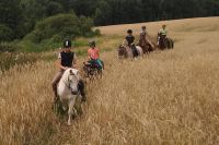 Czytaj więcej: Piękne, letnie tereny