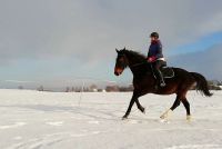 Czytaj więcej: Śnieżne eskapady