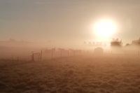 Czytaj więcej: Buszujący we mgle