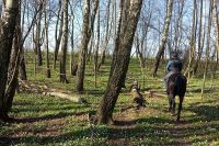 Czytaj więcej: Wesołego Po-Świętach