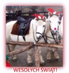 Czytaj więcej: Wesołych Świąt! I Mikołajkowa relacja :)