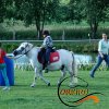 Nasza praca - początki, czyli 2013 rok