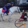 Nasza praca - początki, czyli 2013 rok